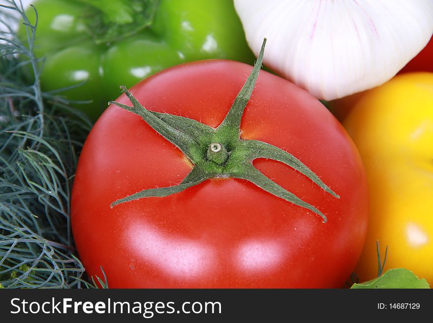 Fresh tomato against vegetable 1