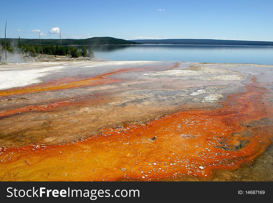 Geothermal Feature In Yellowstone