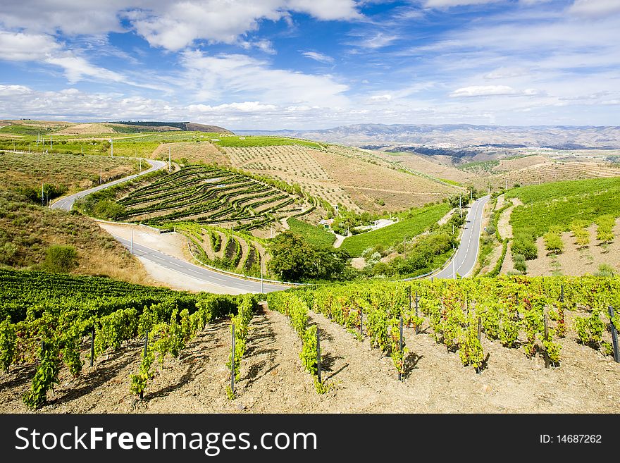 Douro Valley