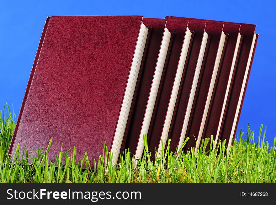 Stack of red books on green grass. Stack of red books on green grass.