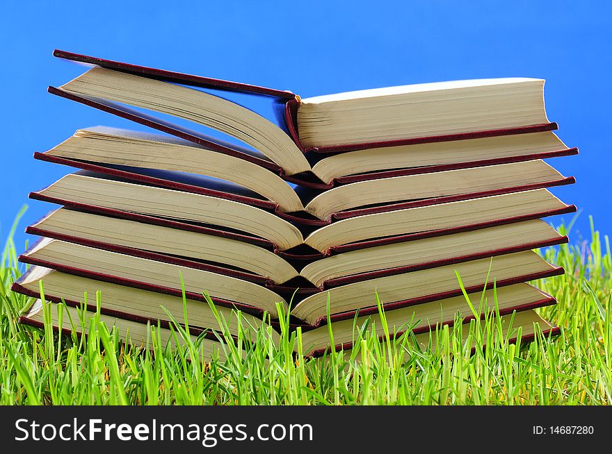 Stack of red books on green grass. Stack of red books on green grass.