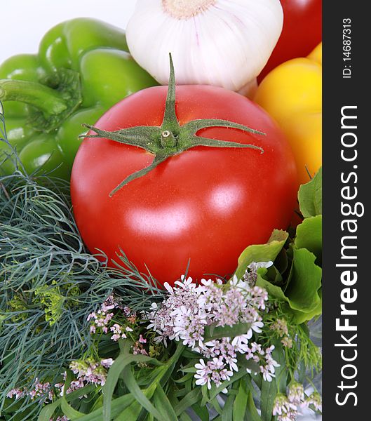 Fresh tomato agaist vegetables 2