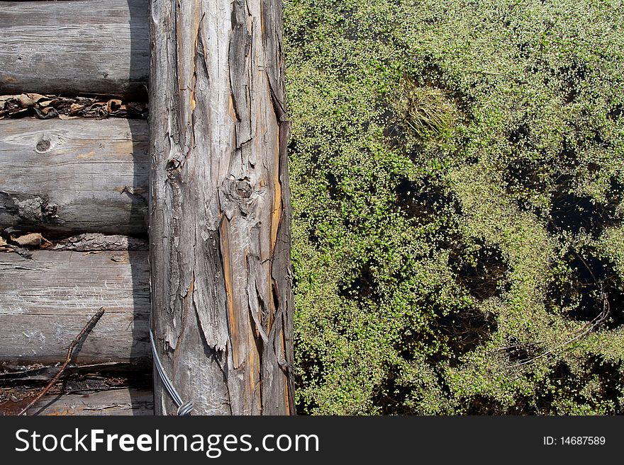 Wooden Bridge