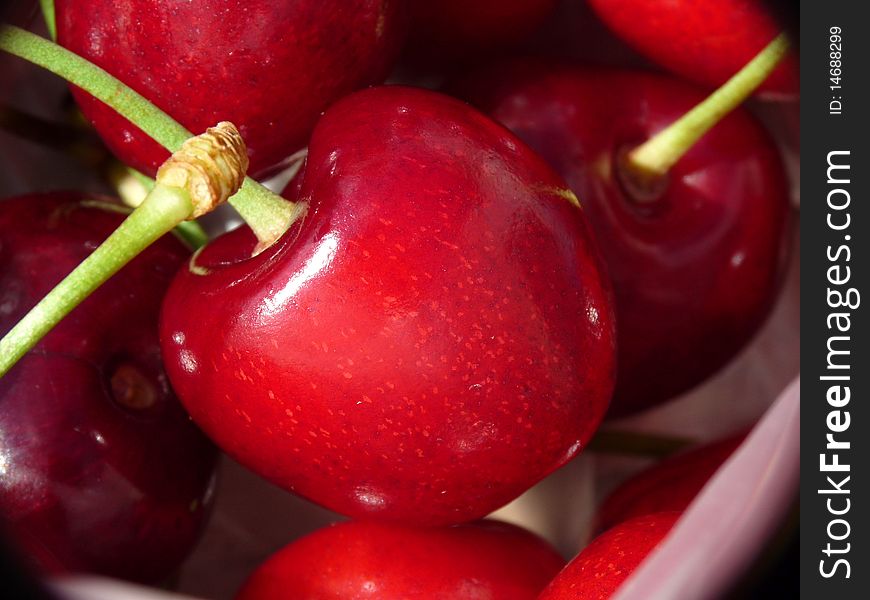 Red fresh summer cherries closeup