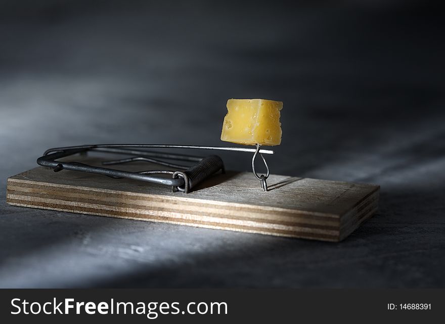 Mousestrap with cheese on gray background