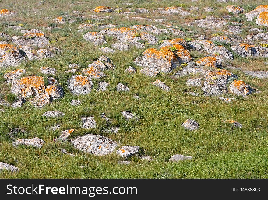 Landscape With Grass And Rocks