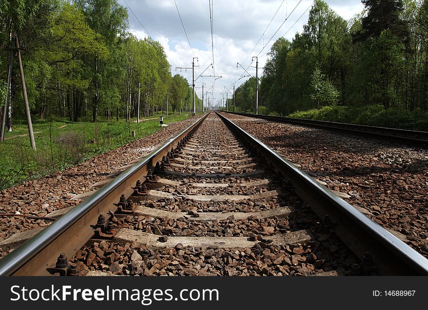 Railwayroad in the forest in summer