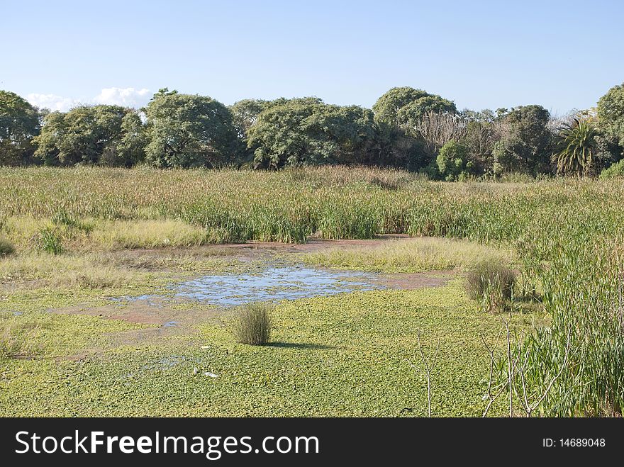 Buenos Aires Ecological Reserve