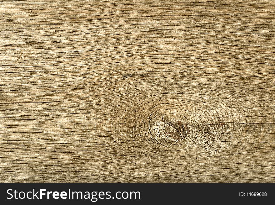 Close-up of wood. Brown wood material useful for background.