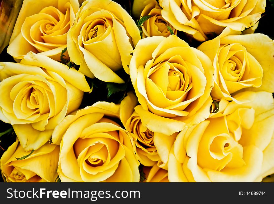 Macro of a yellow flowers bouquet