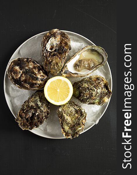 Fresh oysters on ice on a plate, overhead view. Flat lay, from above, top view. Close-up