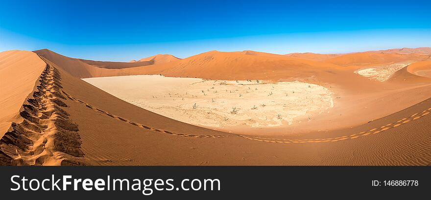Panoramic view of sand dunes in Deadvlei, Sossusvlei, Namibia