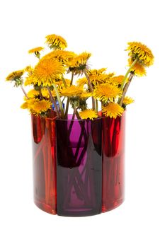 Yellow Dandelions Stock Photography Yellow Dandelions Stock Photography