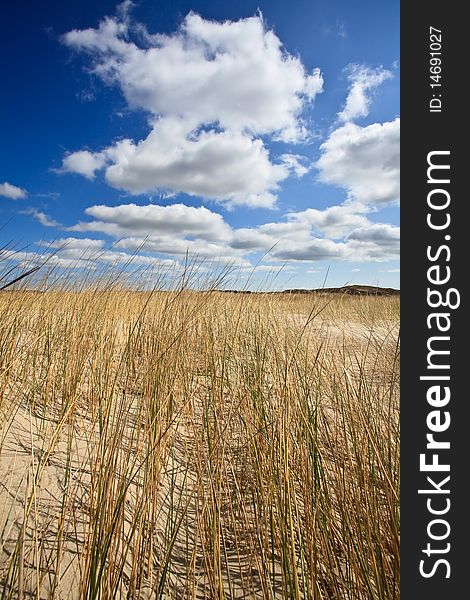 Sand dunes near to the sea with cloudy sky