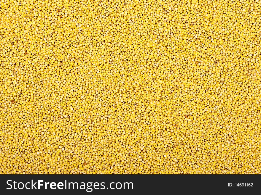 Millet Grains.Background