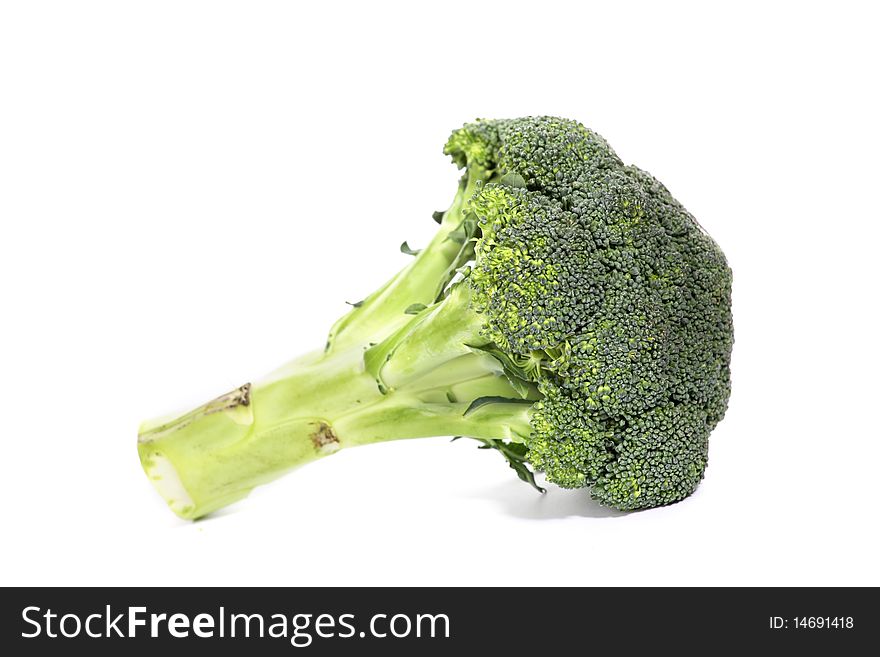 Green fresh and raw broccoli isolated at white background. Green fresh and raw broccoli isolated at white background