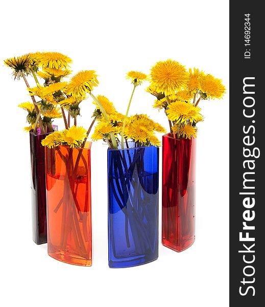 Yellow dandelions in glass colour vase on white background