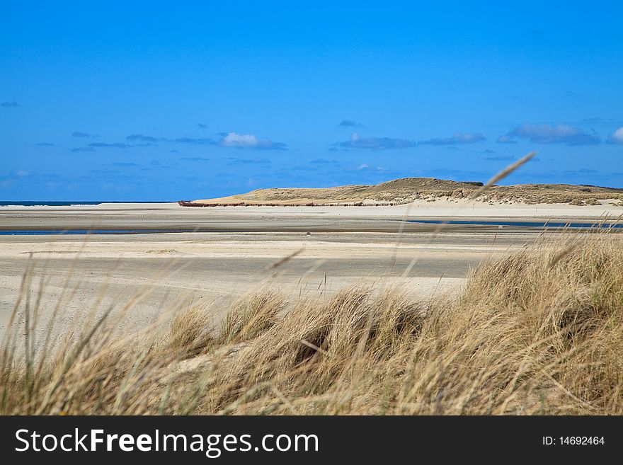 Sand dunes on the beach with a blue sky