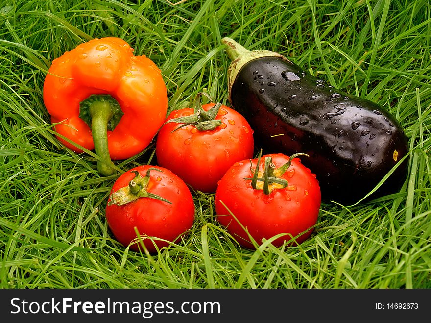 Appetizing light vegetables snack