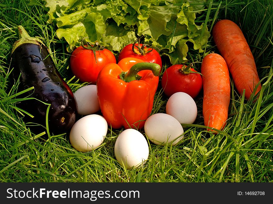 Appetizing light vegetables snack