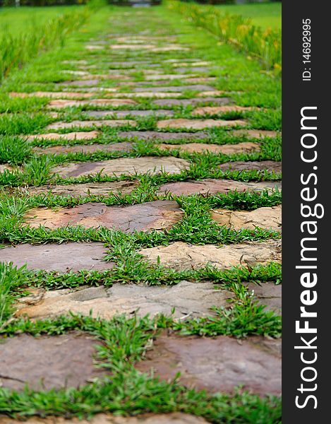 A stone path covered with grass in Cambodia. A stone path covered with grass in Cambodia