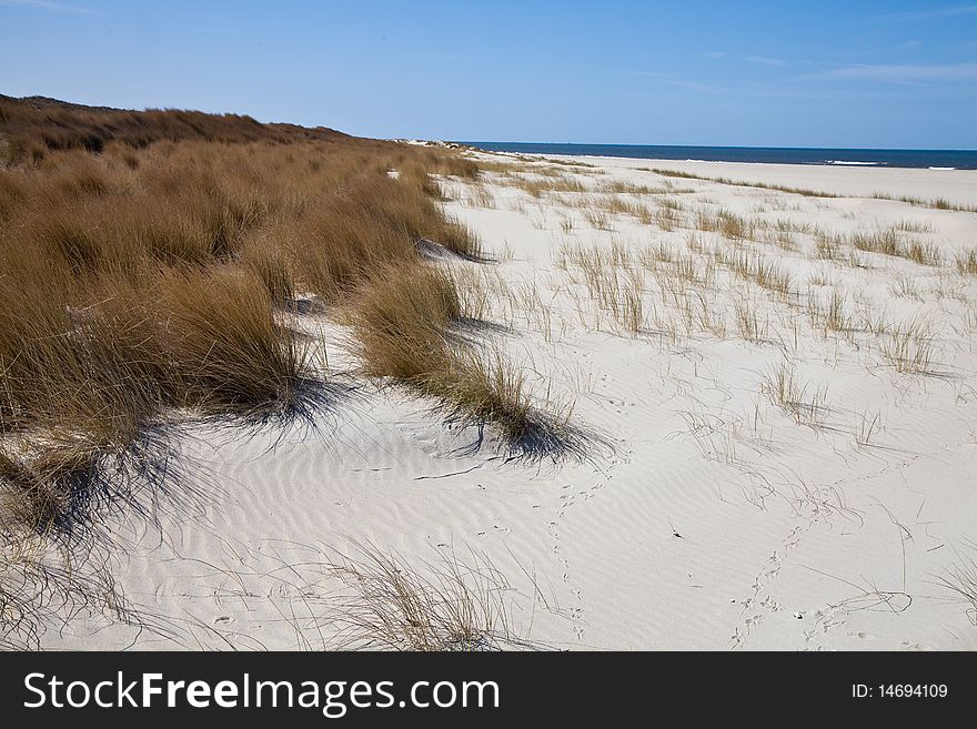 Sand dunes on the beach with a cloudy blue sky