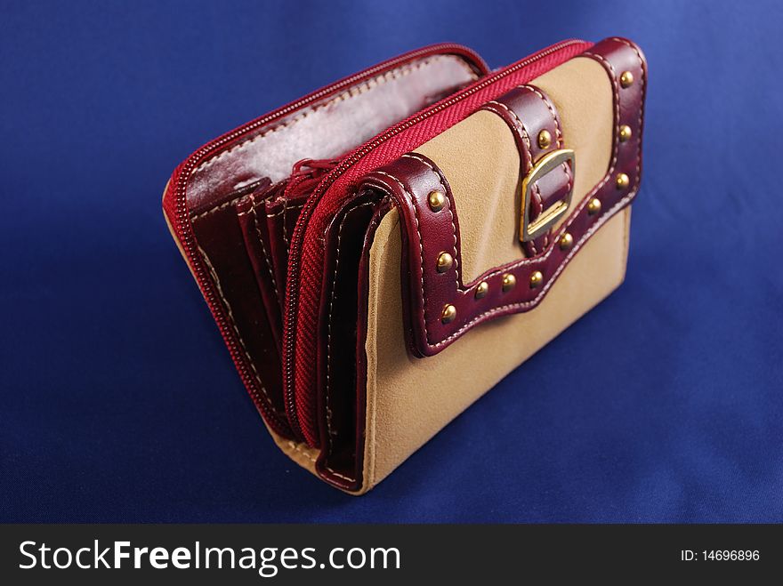 Purse from a light skin with red inserts