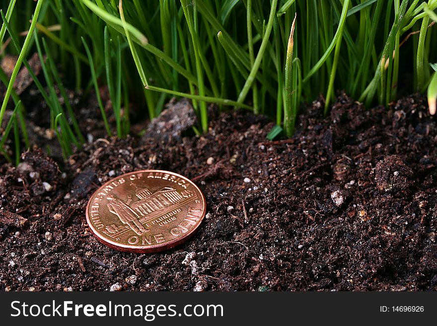 The lost coin in one cent against a grass.