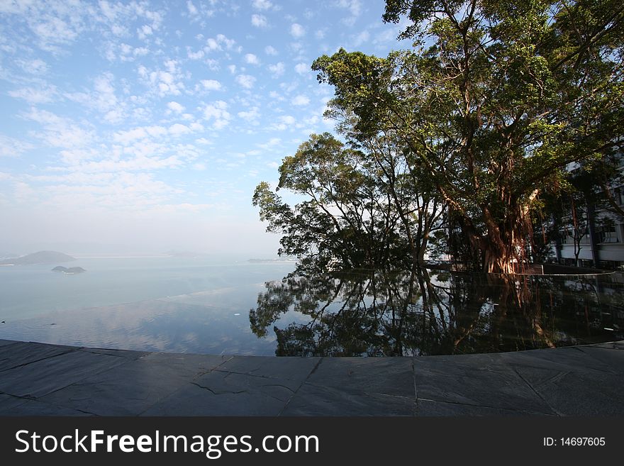 Sky, Tree, and Reflection of Both. Taken in Shatin, Hong Kong