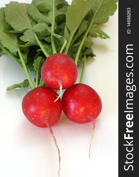 The radish (Raphanus sativus) is an edible root vegetable of the Brassicaceae family. The radish (Raphanus sativus) is an edible root vegetable of the Brassicaceae family.