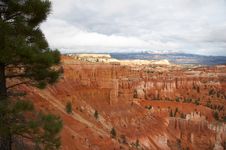Amphitheater - Bryce Canyon Royalty Free Stock Photography Amphitheater - Bryce Canyon Royalty Free Stock Photography