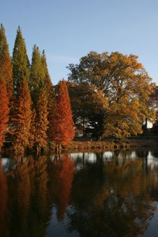 Fall Colors II Royalty Free Stock Image Fall Colors II Royalty Free Stock Image