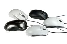 Five Mouses Royalty Free Stock Photos Five Mouses Royalty Free Stock Photos