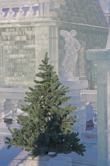 Fir-tree And Ice Sculpture Royalty Free Stock Photography