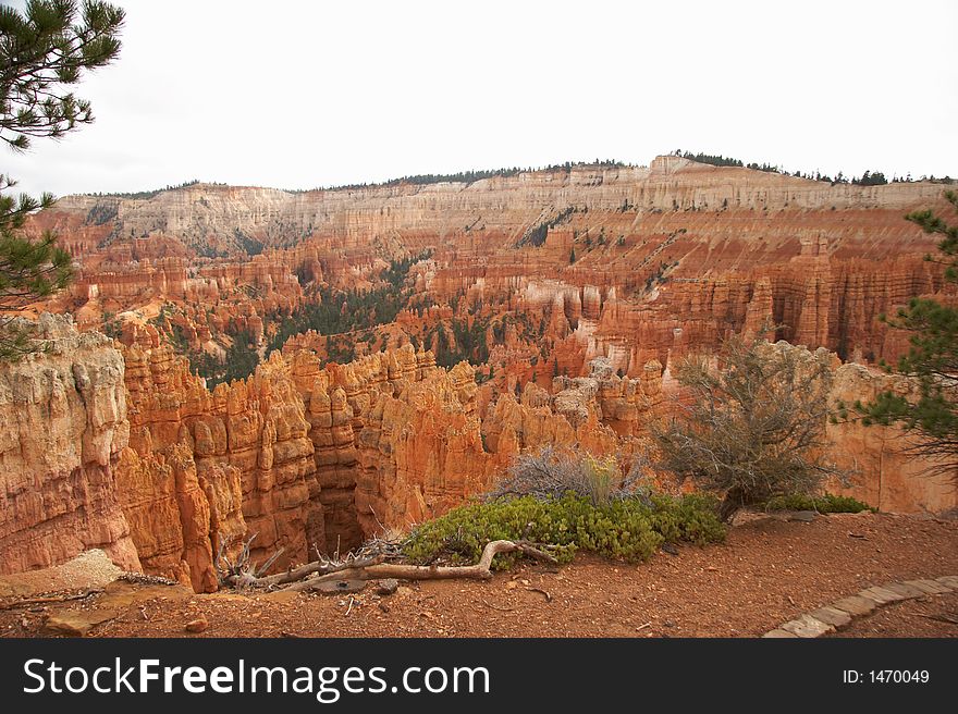 Amphitheater - Bryce Canyon