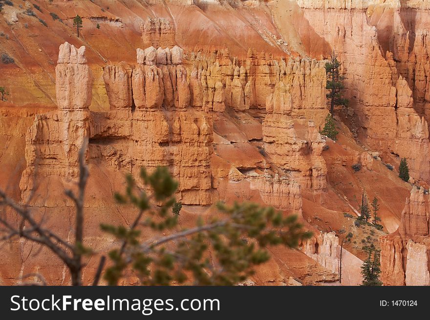 Amphitheater - Bryce Canyon