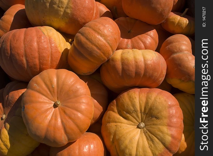 Pumpkin Close Up