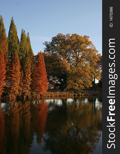 Picture of fall colors reflecting on pond. Picture of fall colors reflecting on pond