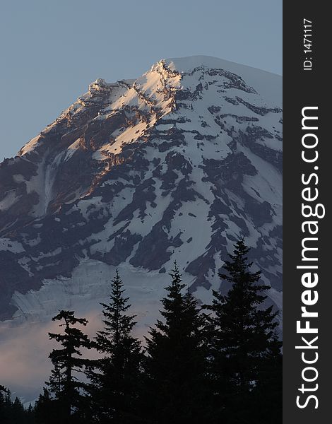 Mount Rainier peak from Longmire meadow with clouds and silhouetted trees in the foreground