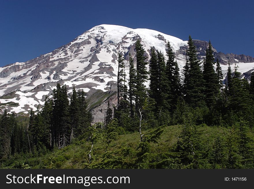 Mount Rainier from paradise - Mount Rainier National Park. Mount Rainier from paradise - Mount Rainier National Park