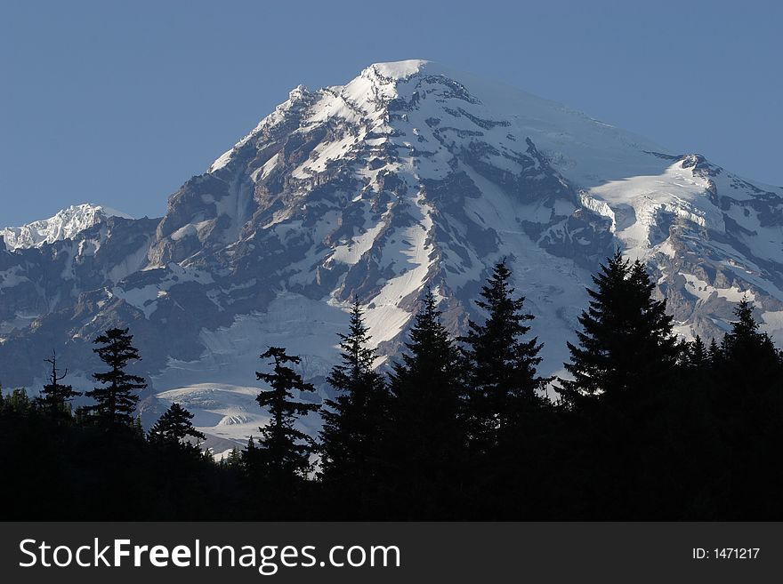 Mount Rainier peak from Longmire meadow with clouds and silhouetted trees in the foreground