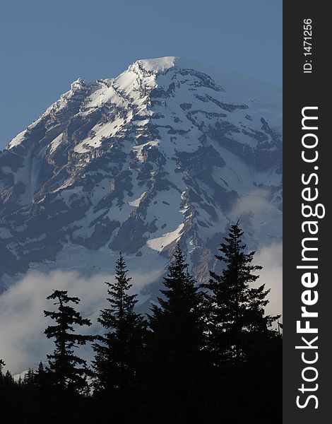 Mount Rainier peak from Longmire meadow with clouds and silhouetted trees in the foreground