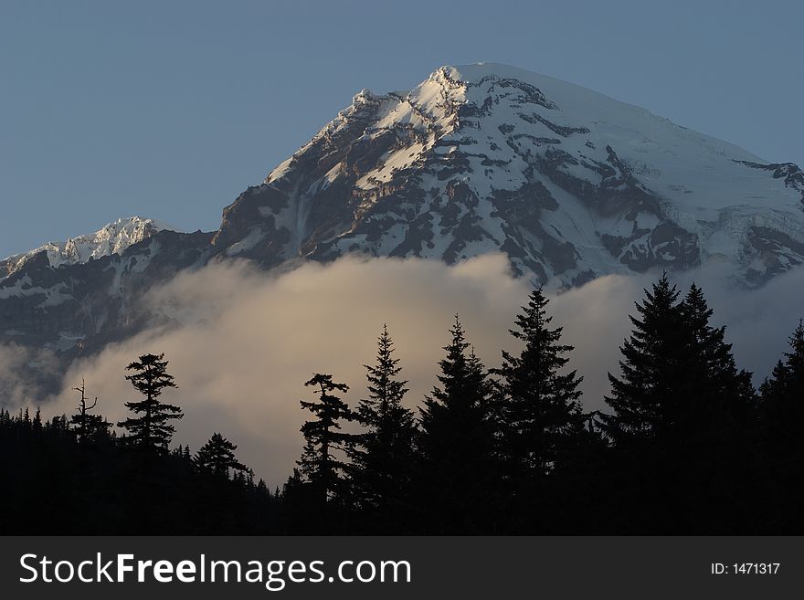 Mount Rainier peak from Longmire meadow with clouds and silhouetted trees in the foreground