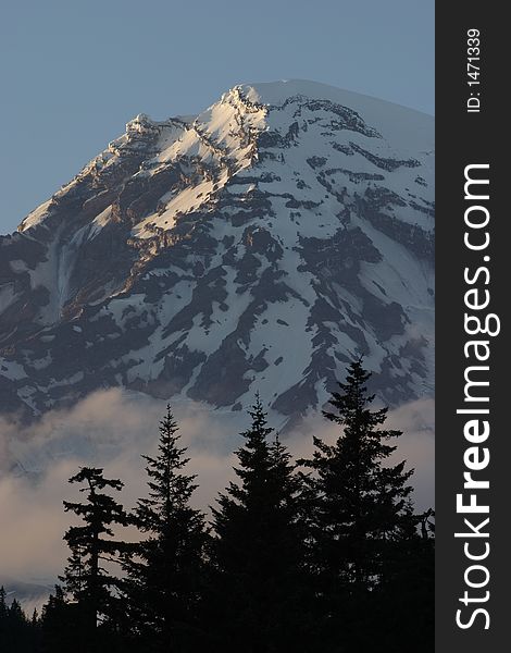 Mount Rainier peak from Longmire meadow with clouds and silhouetted trees in the foreground