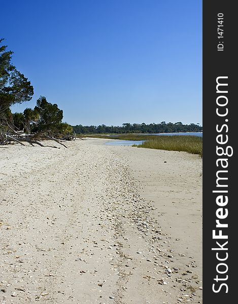 Beach on Shired Island, Dixie County, Florida. Beach on Shired Island, Dixie County, Florida.
