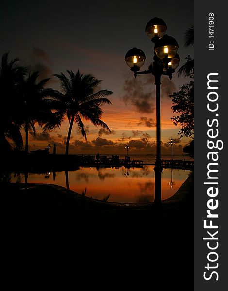 Coconut trees in the pool (sunset)