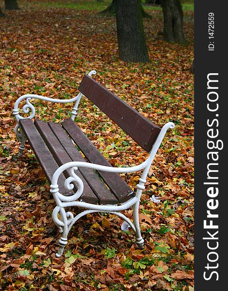 Bench in the park with leafs. Bench in the park with leafs