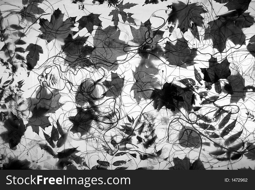 Autumn foliage on a transparent net. Autumn foliage on a transparent net