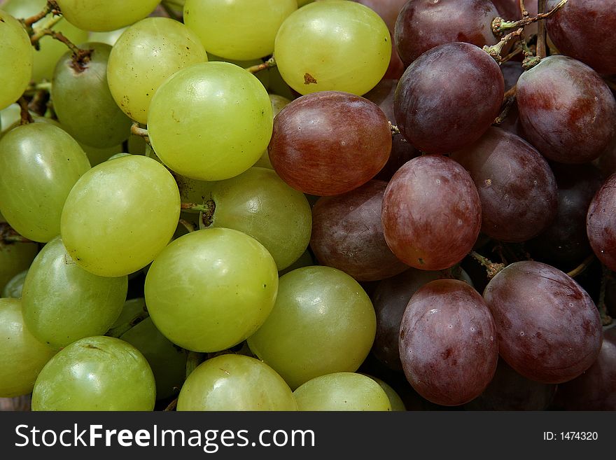 Red and white grapes in the autumn season