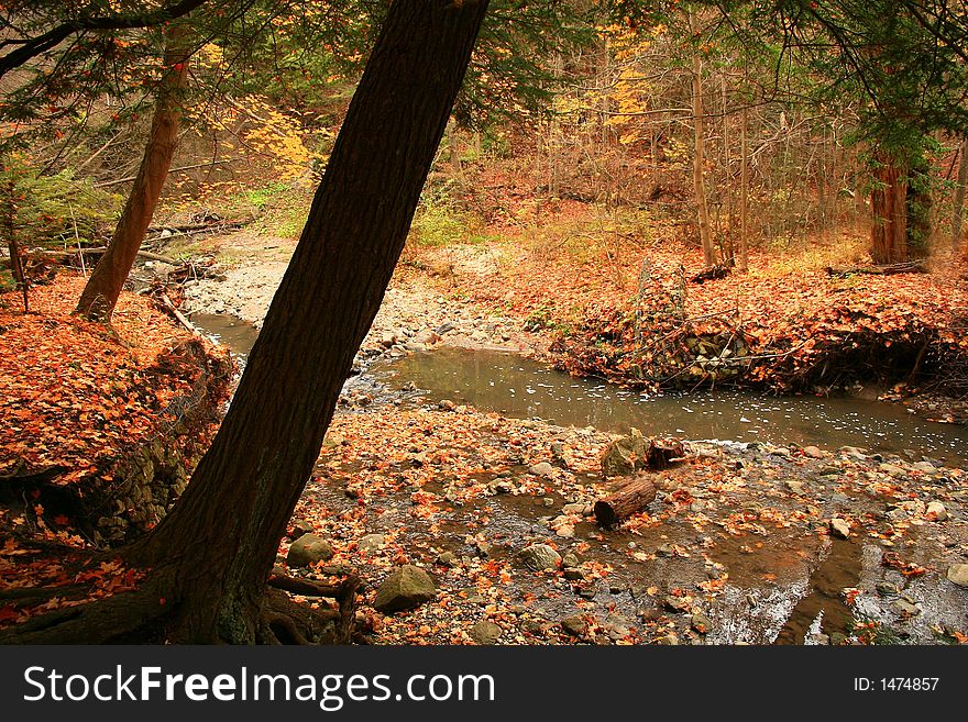 A Deep Colored Autumn Riverbank. A Deep Colored Autumn Riverbank